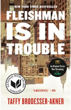 Fleishman Is in Trouble - Taffy Brodesser-akner