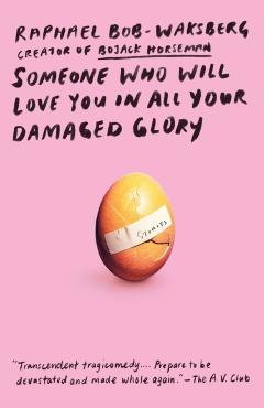 Someone Who Will Love You in All Your Damaged Glory: Stories - Raphael Bob-waksberg