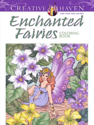 Creative Haven Enchanted Fairies Coloring Book - Barbara Lanza