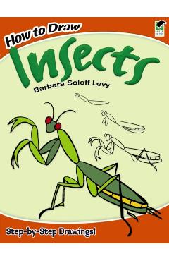How to Draw Insects - Barbara Soloff Levy