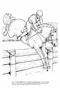Big Book of Horses to Color - John Green