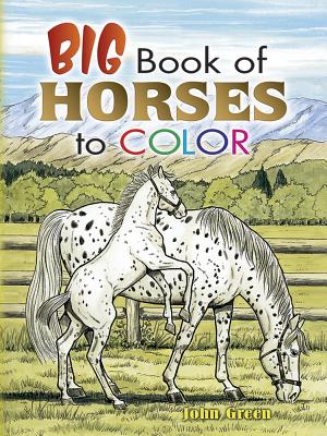Big Book of Horses to Color - John Green