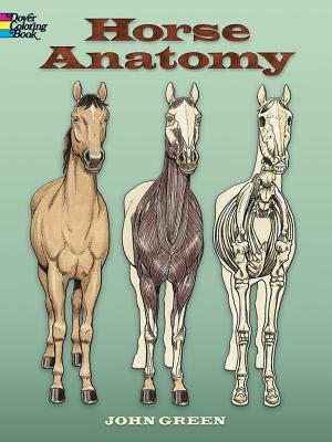 Horse Anatomy - John Green