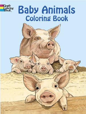 Baby Animals Coloring Book - Ruth Soffer