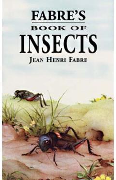 Fabre's Book of Insects - Jean Henri Fabre