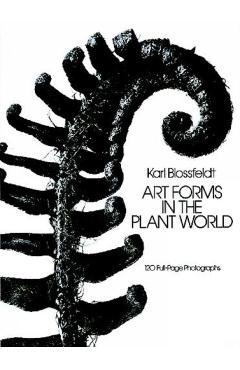 Art Forms in the Plant World - Karl Blossfeldt