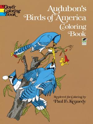 Audubon's Birds of America Coloring Book - John James Audubon
