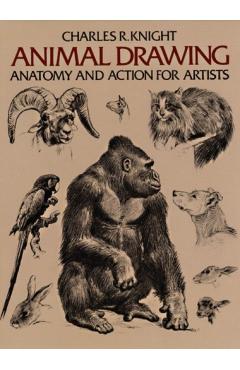 Animal Drawing: Its Origins, Ancient Forms and Modern Usage - Charles Knight