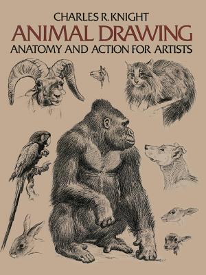 Animal Drawing: Its Origins, Ancient Forms and Modern Usage - Charles Knight
