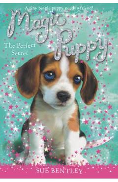 Poza produsului The Perfect Secret - Sue Bentley