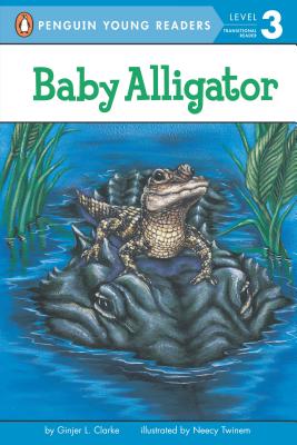 Baby Alligator - Ginjer L. Clarke
