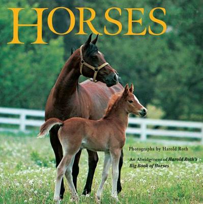 Horses: An Abridgement of Harold Roth's Big Book of Horses - Laura Driscoll