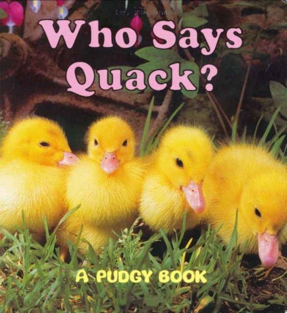 Who Says Quack?: A Pudgy Board Book - Jerry Smith
