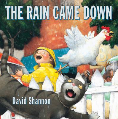 The Rain Came Down - David Shannon