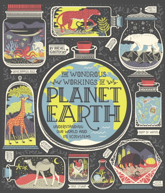 The Wondrous Workings of Planet Earth: Understanding Our World and Its Ecosystems - Rachel Ignotofsky