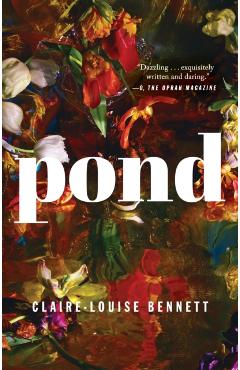 Pond - Claire-louise Bennett