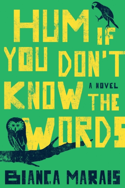 Hum If You Don't Know the Words - Bianca Marais