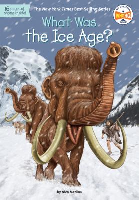 What Was the Ice Age? - Nico Medina