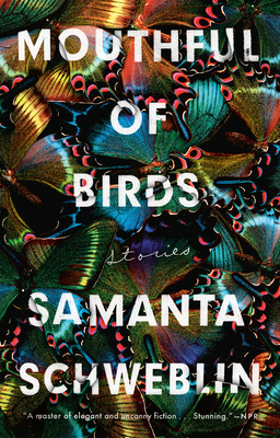 Mouthful of Birds: Stories - Samanta Schweblin