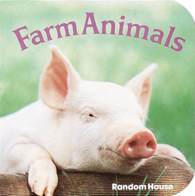 Farm Animals - Phoebe Dunn