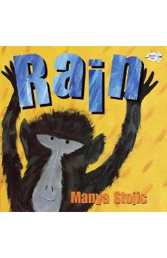 Coperta cărții 'Rain - Manya Stojic'