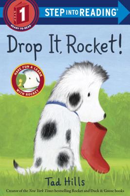 Drop It, Rocket! - Tad Hills