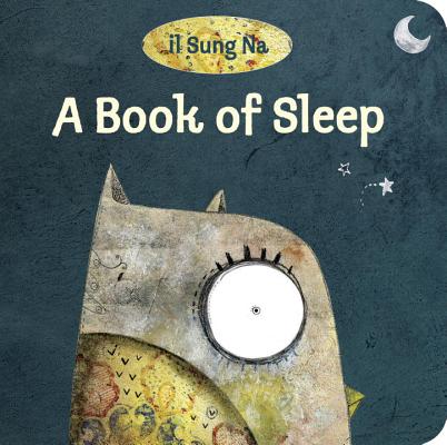 A Book of Sleep - Il Sung Na