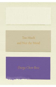 Too Much and Not the Mood: Essays - Durga Chew-bose