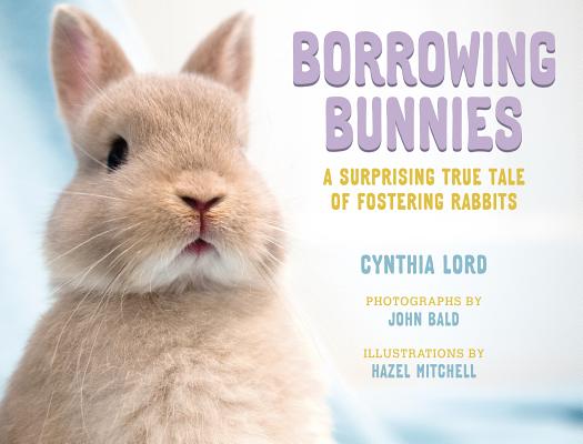 Borrowing Bunnies: A Surprising True Tale of Fostering Rabbits - Cynthia Lord