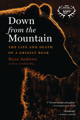 Down from the Mountain: The Life and Death of a Grizzly Bear - Bryce Andrews