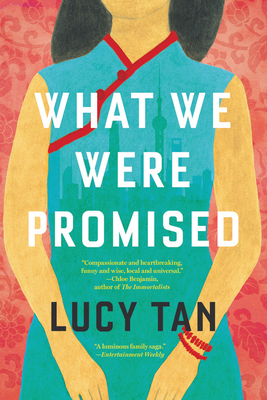 What We Were Promised - Lucy Tan