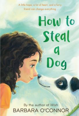 How to Steal a Dog - Barbara O'connor