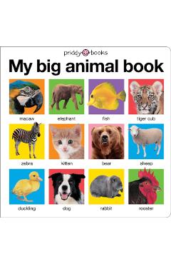 My Big Animal Book - Roger Priddy