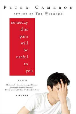 Someday This Pain Will Be Useful to You - Peter Cameron