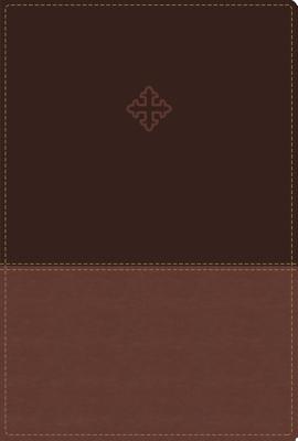 Amplified Study Bible, Imitation Leather, Brown, Indexed - Zondervan