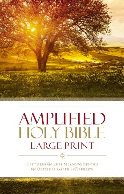 Amplified Bible-Am-Large Print: Captures the Full Meaning Behind the Original Greek and Hebrew - Zondervan