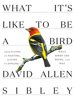 What It's Like to Be a Bird: From Flying to Nesting, Eating to Singing--What Birds Are Doing, and Why - David Allen Sibley