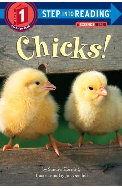Chicks! - Sandra Horning