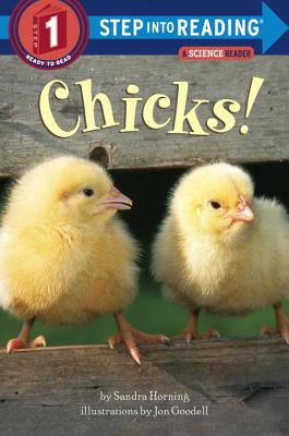 Chicks! - Sandra Horning