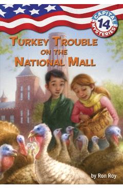 Turkey Trouble on the National Mall - Ron Roy