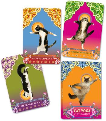 Cat Yoga Postcards - Rick Tillotson