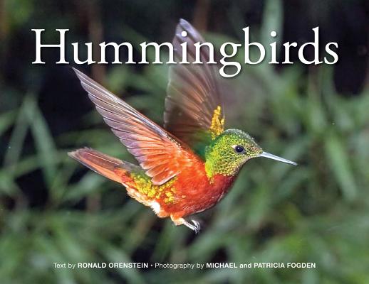 Hummingbirds - Ronald Orenstein