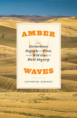 Amber Waves: The Extraordinary Biography of Wheat, from Wild Grass to World Megacrop - Catherine Zabinski