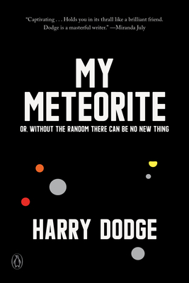 My Meteorite: Or, Without the Random There Can Be No New Thing - Harry Dodge