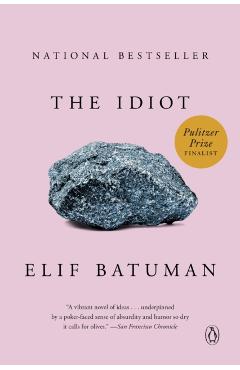 The Idiot - Elif Batuman