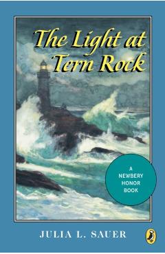 The Light at Tern Rock - Julia L. Sauer