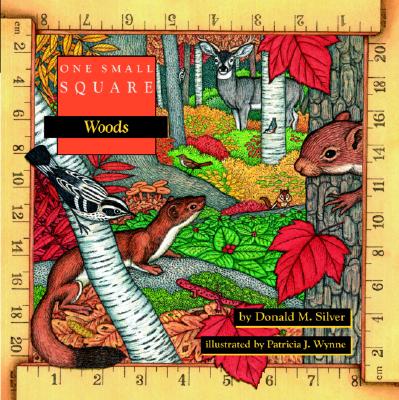 One Small Square: Woods - Donald M. Silver