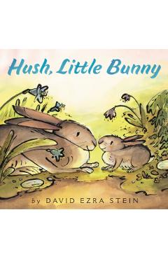 Hush, Little Bunny - David Ezra Stein