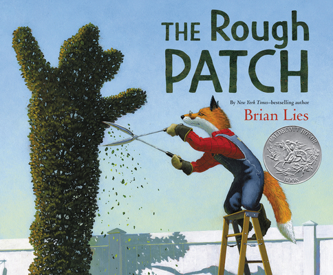 The Rough Patch - Brian Lies