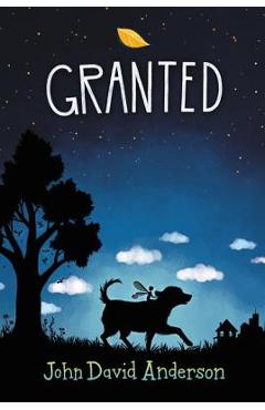 Poza produsului Granted - John David Anderson